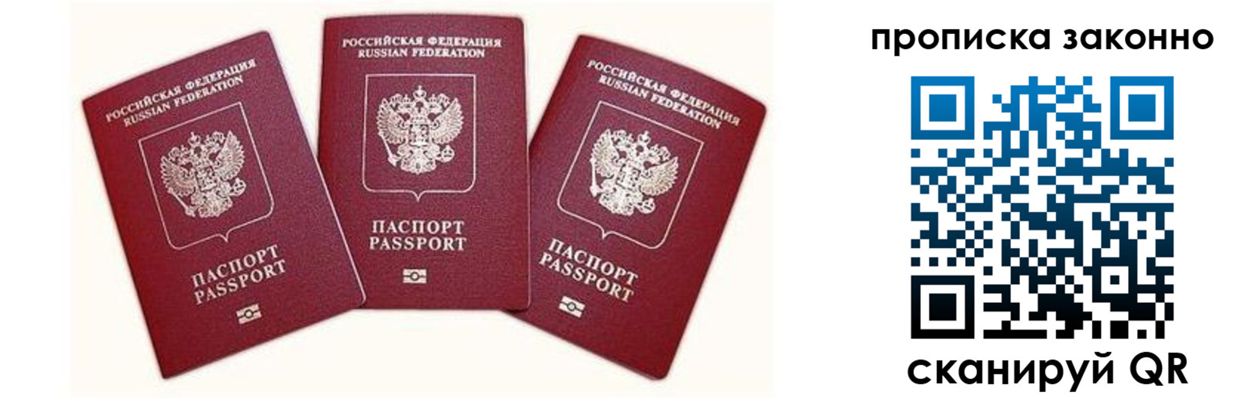прописка законно в Елизово